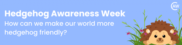 Hedgehog Awareness Week Blog Banner
