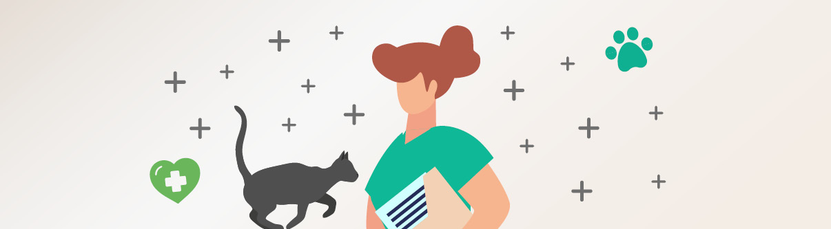 Level 3 Diploma Veterinary Nursing