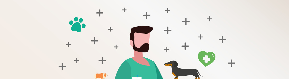 Level 3 Diploma Veterinary Nursing