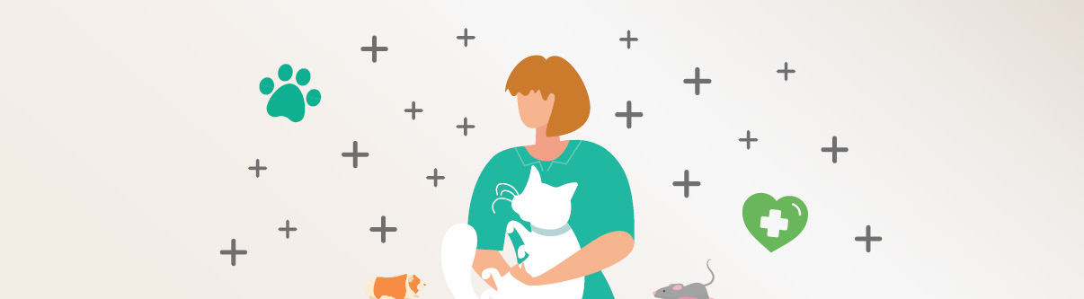 Level 3 Diploma Veterinary Nursing