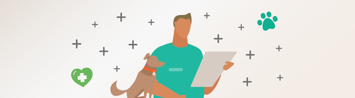 Level 3 Diploma Veterinary Nursing