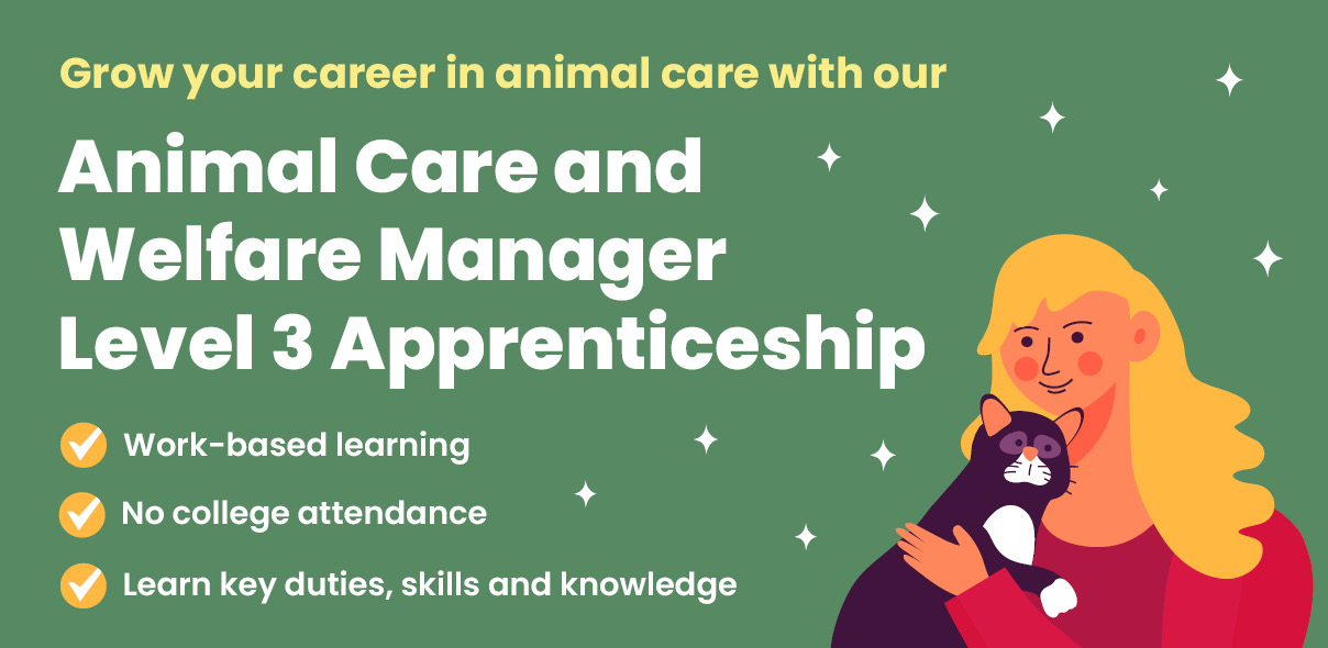 Level 3 Animal Care and Welfare Manager Apprenticeship