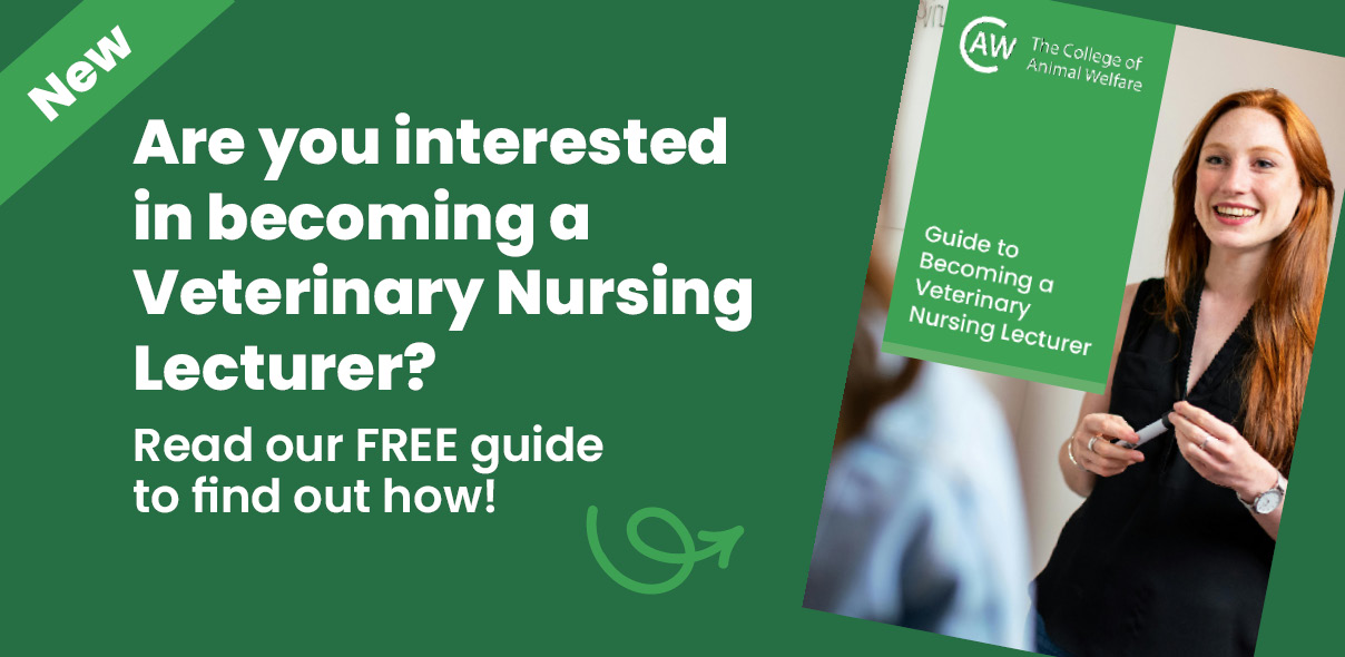 Guide to Becoming a Veterinary Nursing Lecturer