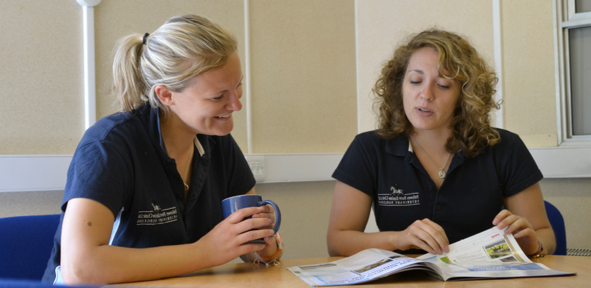 What Is Evidence-Based Veterinary Nursing and Why Every RVN Should Be Doing It