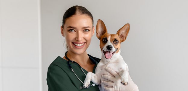 What Is Reflective Practice and How Can It Improve Your Veterinary Nursing