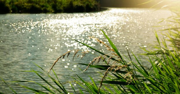 Photo of a lake