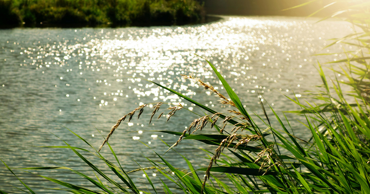 Photo of a lake