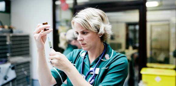 Training as a Veterinary Nurse in your 30s, 40s, 50s, 60s and beyond