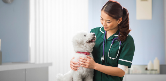 What’s Next After RVN Registration - Career Planning for Veterinary Nurses