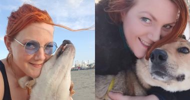 News article banner: Laura Turnbull with dogs