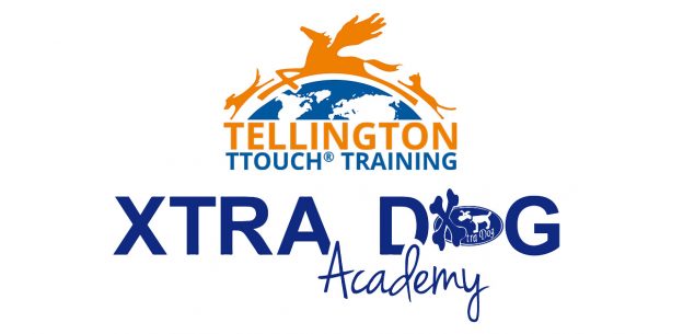 Intro to Tellington TTouch