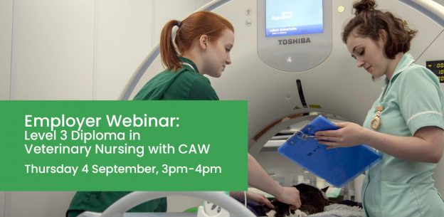 Vn Webinar