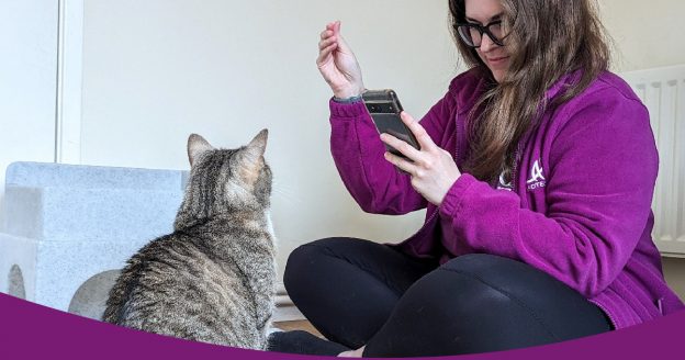 Lady sitting on the floor showing a cat some treats