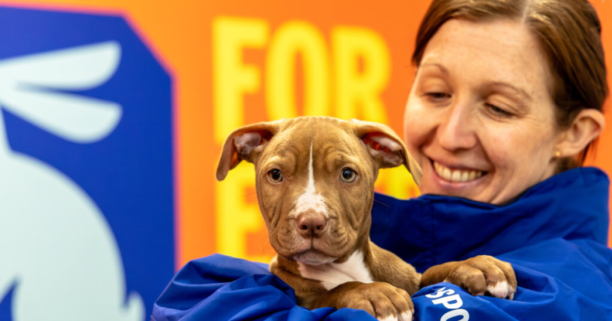RSPCA Lady holding a puppy in her arms