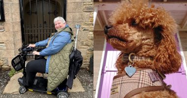 News article banner: Joanne in her mobility scooter and her toy poodle puppy
