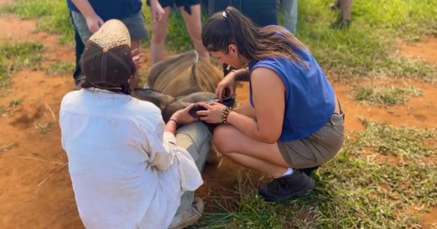 Laura Turnbull Bursary Winner 2025