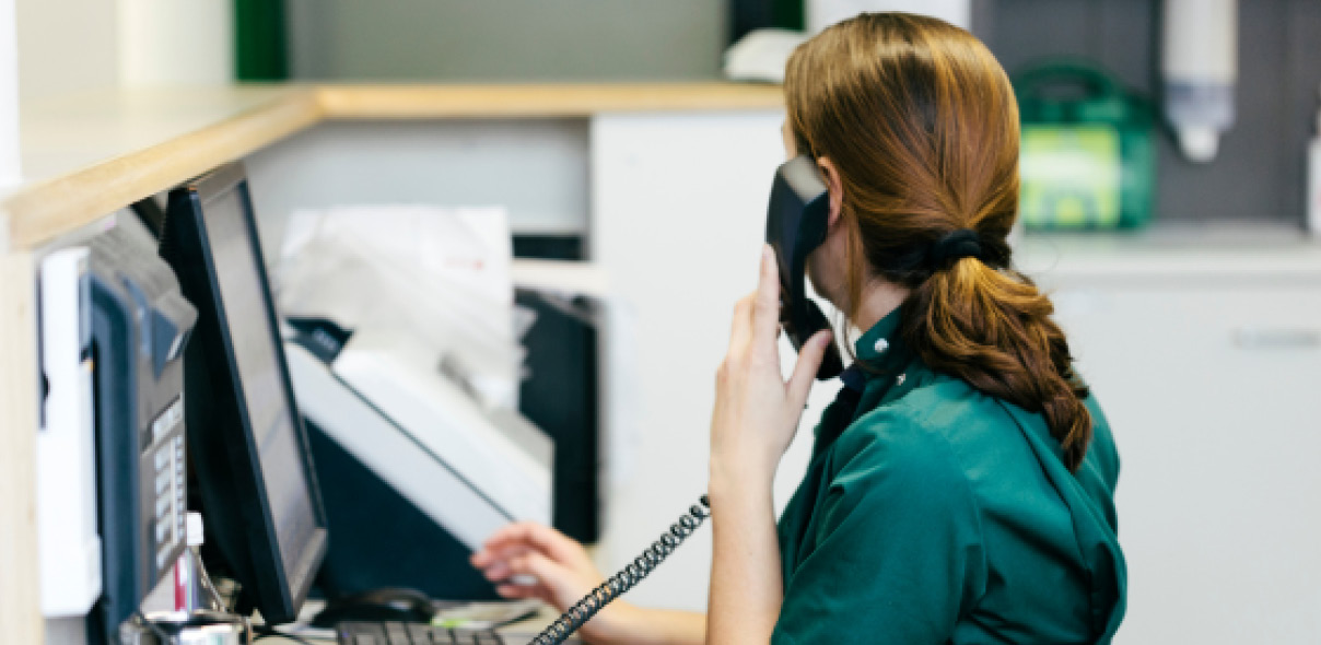 Training Options for Veterinary Receptionists