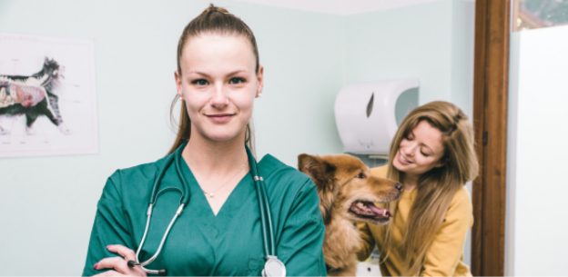 Translating Vet Jargon Ways RVNs Can Bridge the Understanding Gap for Clients