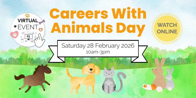 Decorative cartoon animals with a banner advertising careers with animals day 2026