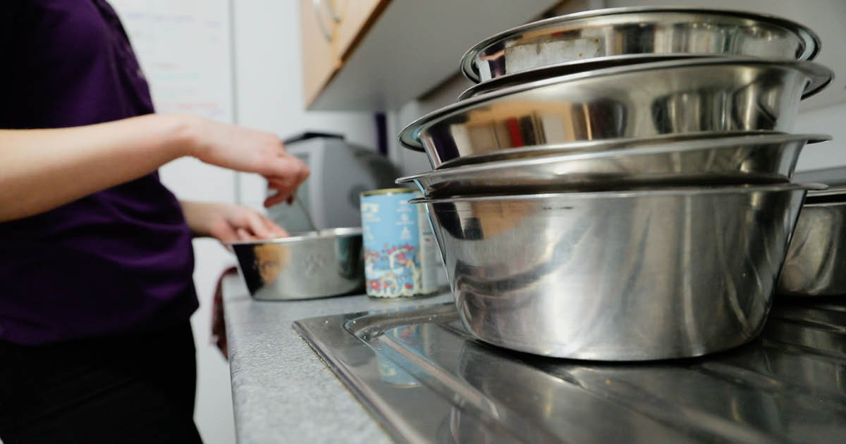 Person cleaning animal feed bowls