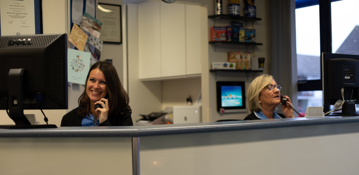 How to Grow in Your Veterinary Receptionist Role