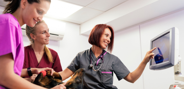Managing First Time Managers in Veterinary Practice