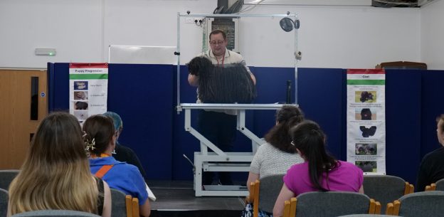 Why come along to Dog Grooming Congress