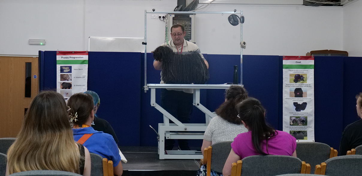 Why come along to Dog Grooming Congress