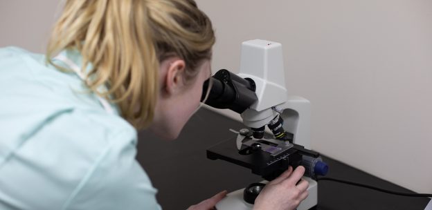 What Support Do Students Receive During Veterinary Nurse Training