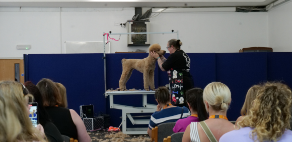 Dog Grooming Congress
