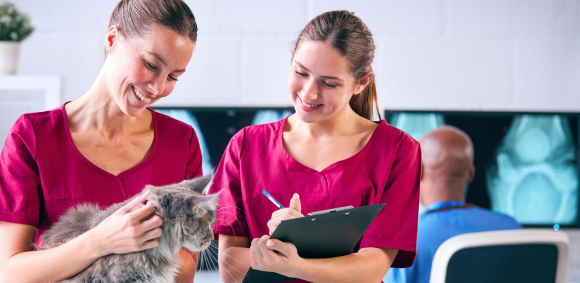 I'm already a veterinary care assistant do I need a veterinary care qualification