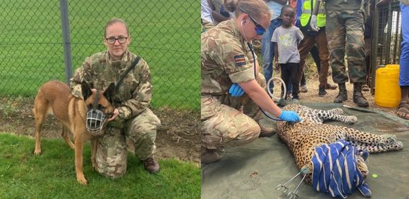SSgt Leah with a military working dog and a second image when assisting with a leopard's operation