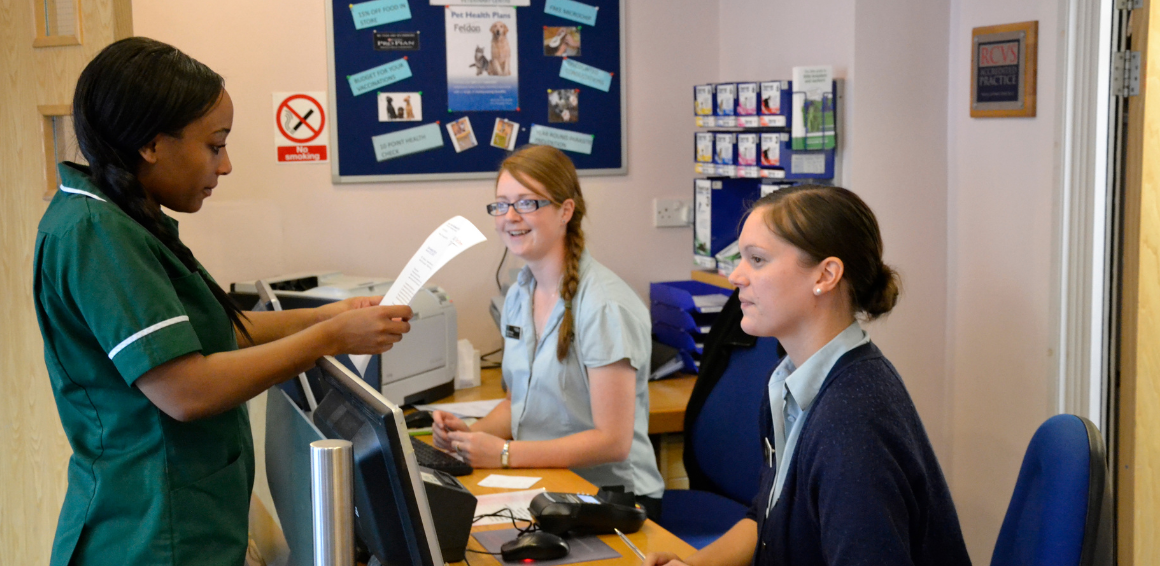 Veterinary Practice Apprenticeship Options