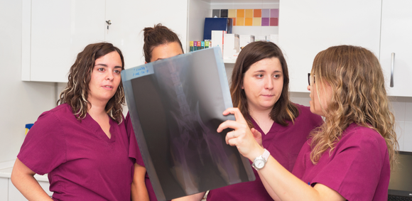 A group of nurses stand together looking at an xray film