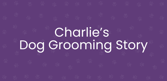 Charlie Case Study