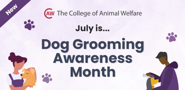 Dog Grooming Awareness Month