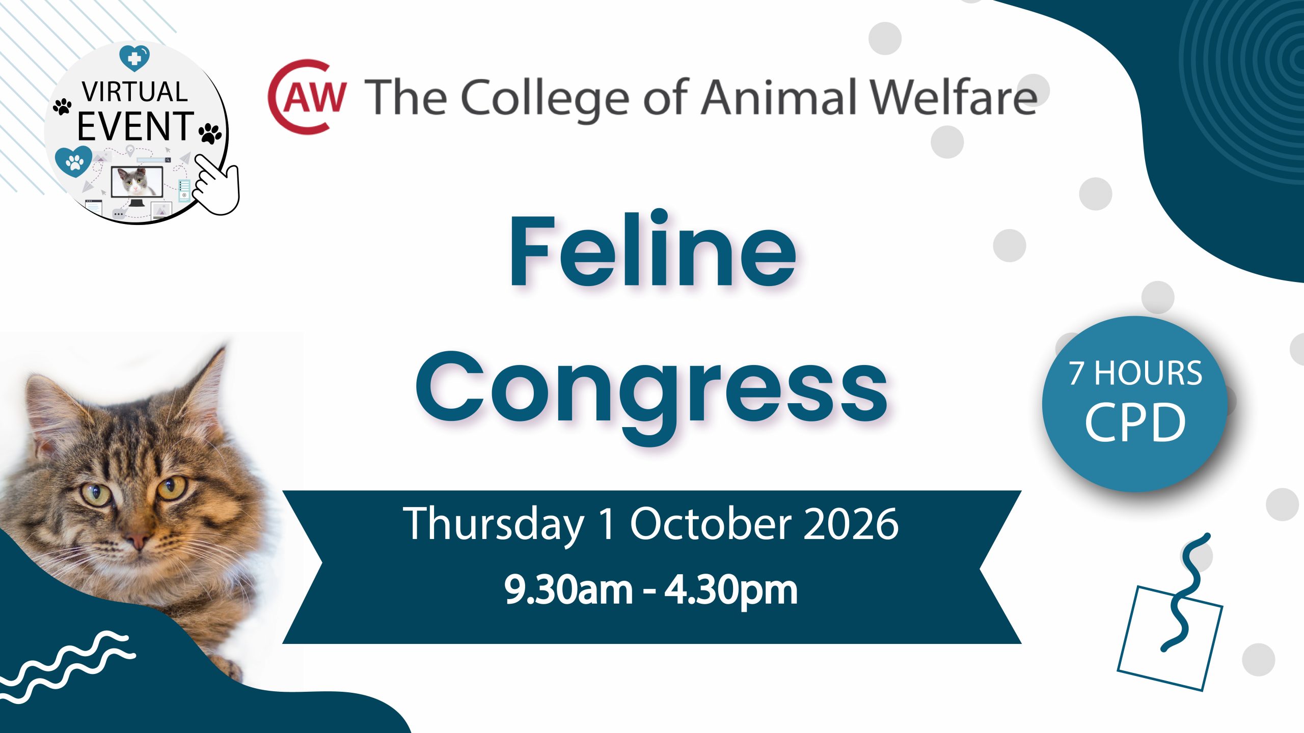 An long haired tabby cat beside date and time details of feline congress 2026