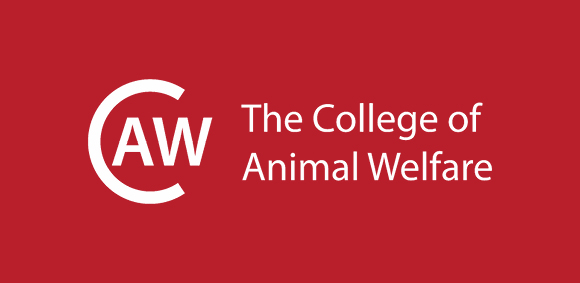 The College of Animal Welfare logo on a burgundy background