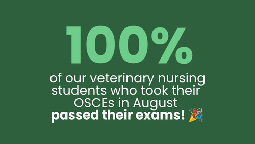 100% of CAW Veterinary Nursing Students Pass August OSCEs