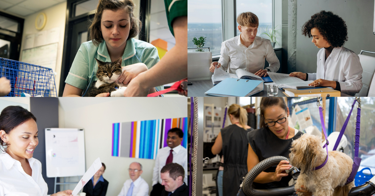 New £2,000 incentive for non-levy paying employers recruiting young apprentices